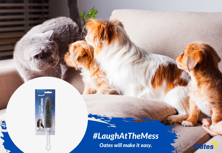 Oates Pet Hair Brush