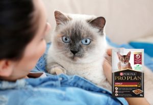 Purina Pro Plan wet adult cat food.