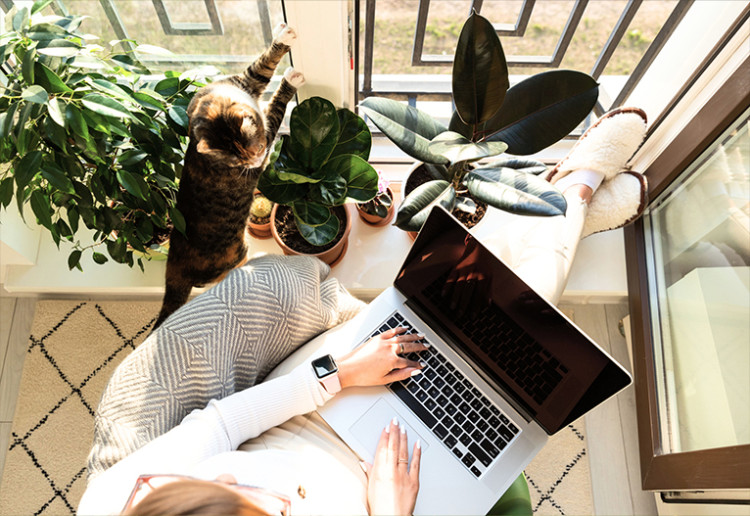Woman working on computer next to pet cat.