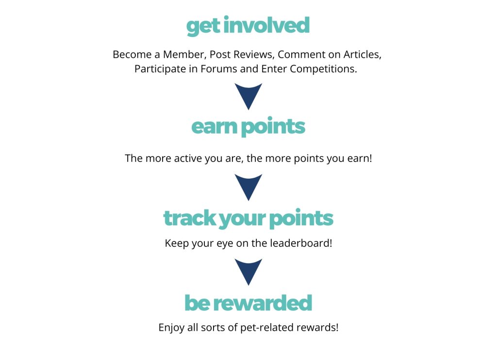 Best Pet Buys steps to Rewards.