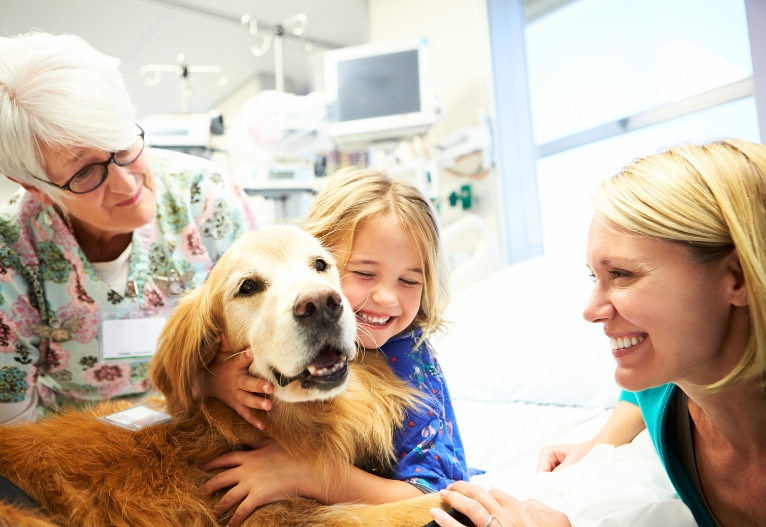 Child hugs a therapy dog in a hospital.