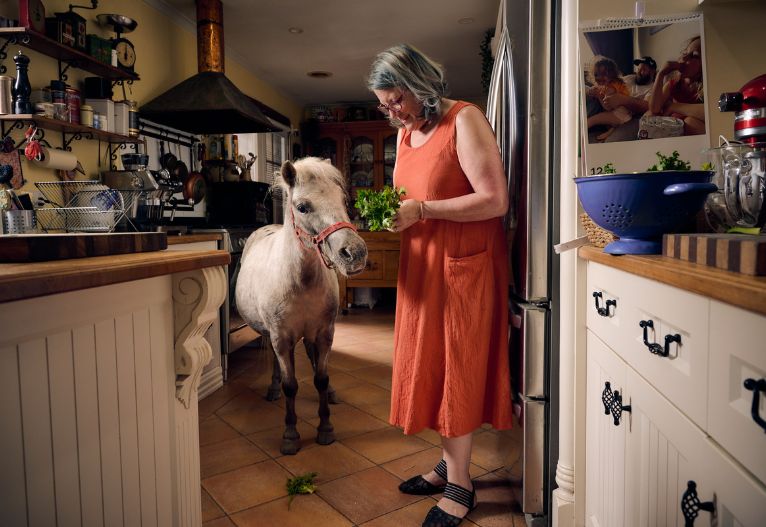 woman inside her kitchen with a miniature horse