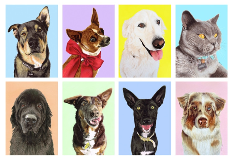 Win A Custom, Hand Drawn Pet Portrait Worth $500!
