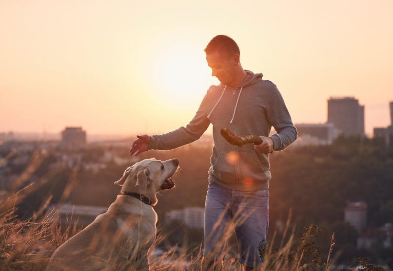 Man plays outside with his dog at sunset.