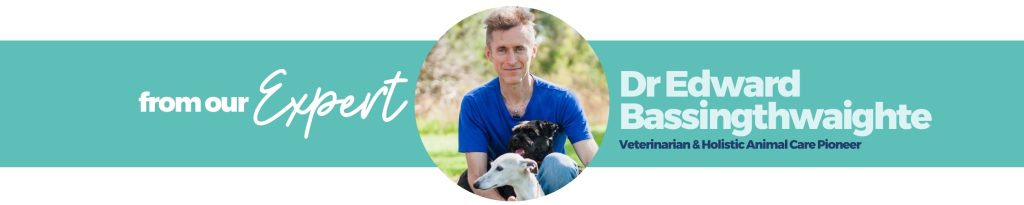 Expert banner for Dr Edward Bassingthwaighte - The Healing Vet.