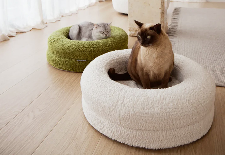 Two cats resting in round boucle cat beds.