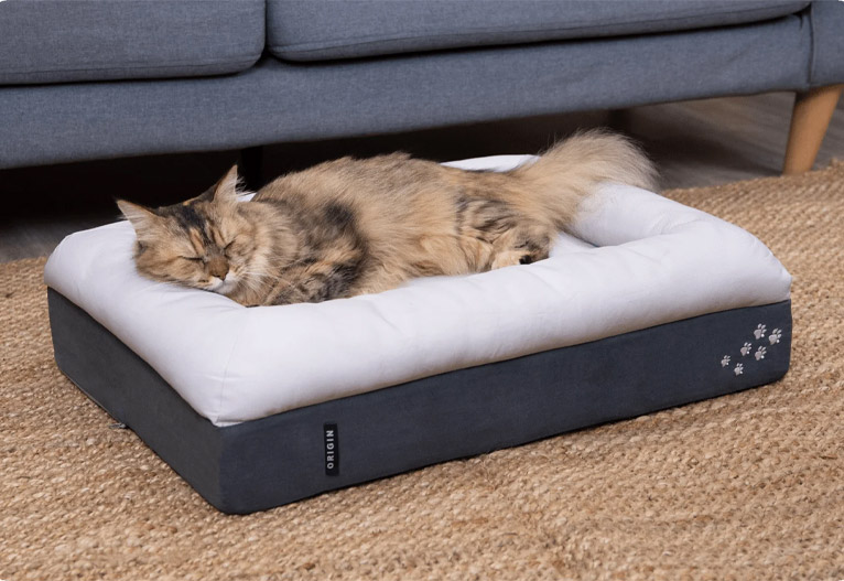 Cat sleeping on a luxurious rectangular cat bed.