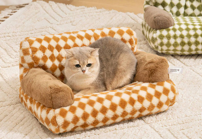 Kitten on a vintage-style cat sofa bed.