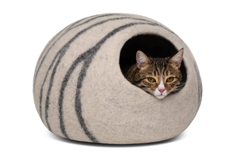 Cat resting in a light-grey and beige cat bed.
