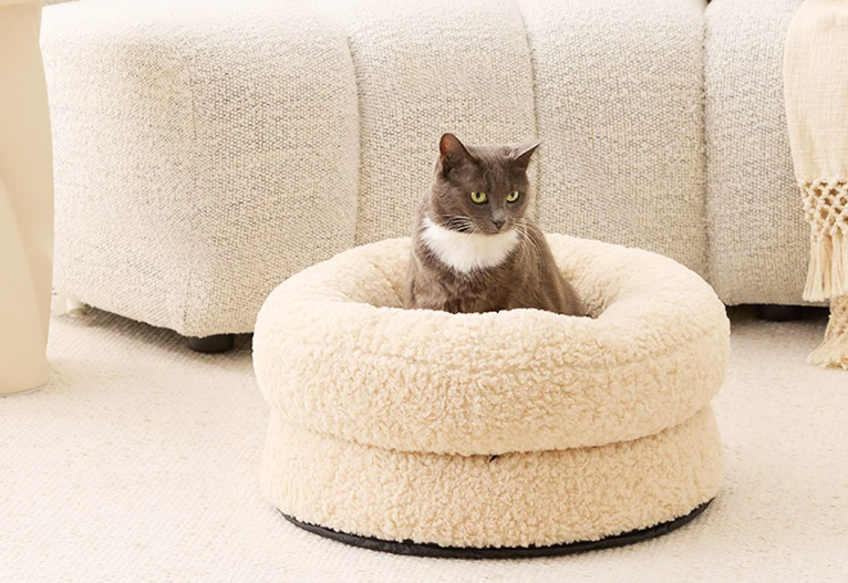 Cat sitting in a natural-coloured sherpa cat bed.