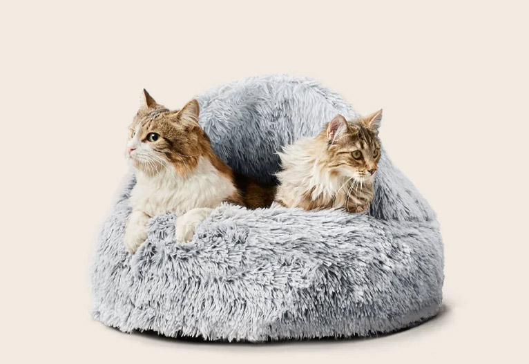 Two cats in a fluffy grey cat bed.