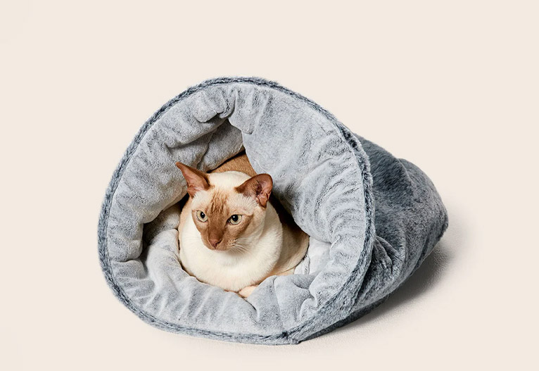 White cat in a grey cocoon-style cat bed.