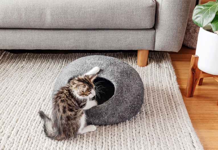 Kitten climbing into a woollen felt cat bed.