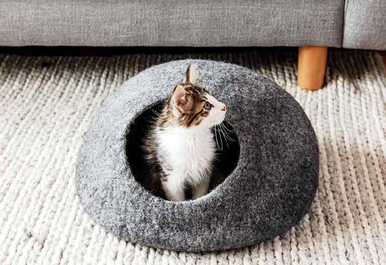 Cat in a woollen felt bed.