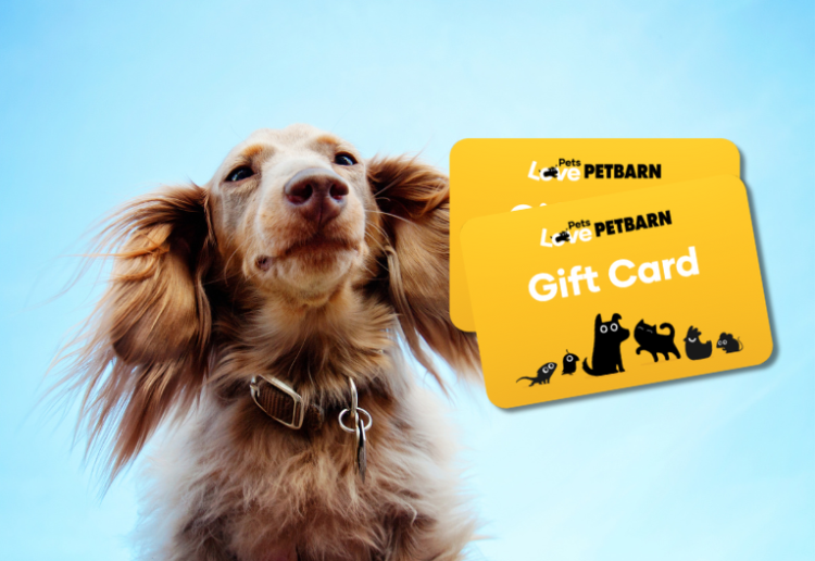Earn 1 Of 2 $250 Petbarn Vouchers!