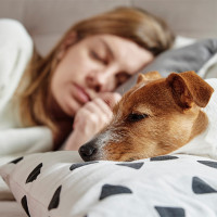 Woman sleeping in a bed with her dog.