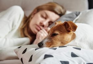 Woman sleeping in a bed with her dog.
