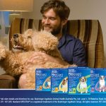 NexGard SPECTRA Chewables for Dogs Review