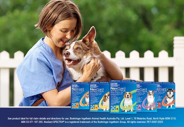 NexGard SPECTRA Chewables for Dogs Review