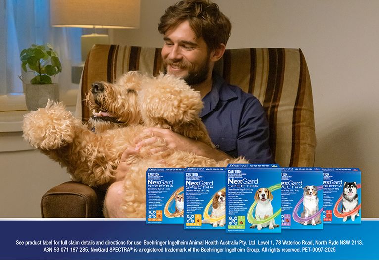 NexGard SPECTRA® Chewables for Dogs Review
