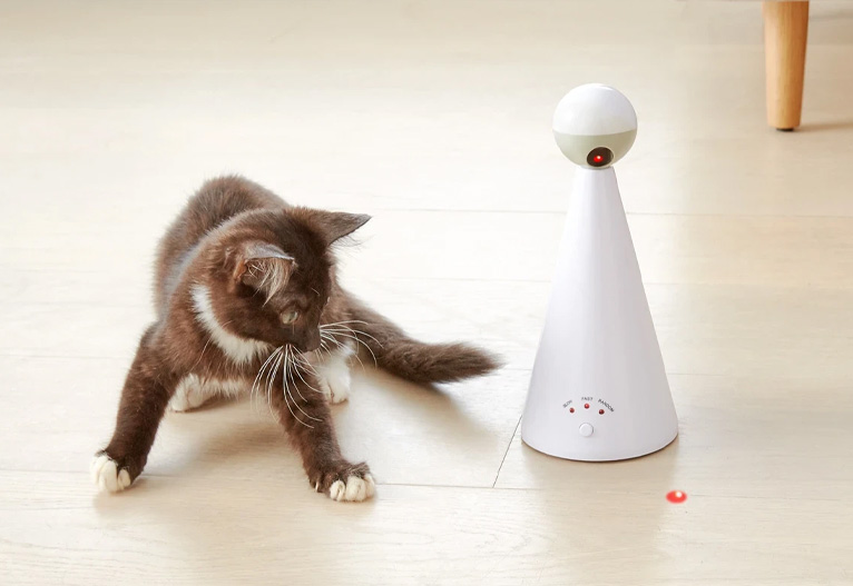 Cat playing with a laser toy.