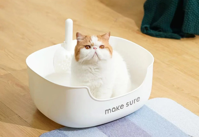 Cat sitting in a Makesure cat litter box.