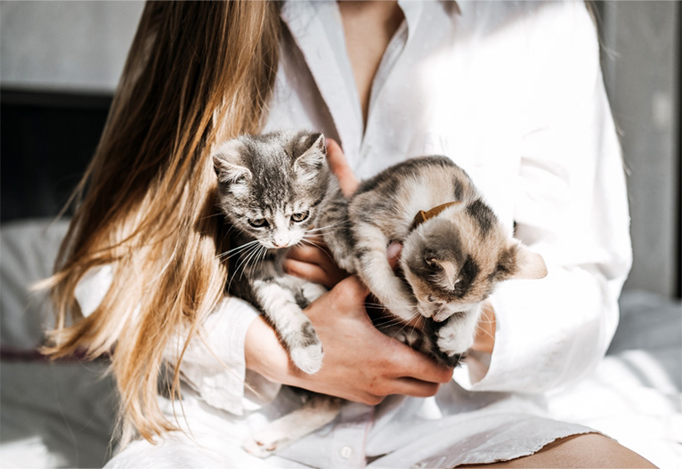 Person holding two kittens.