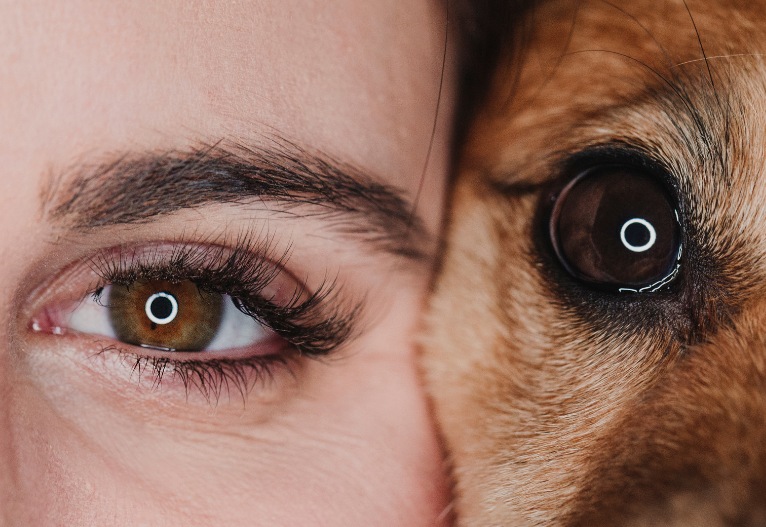 Close up of the eyes of a woman and her dog.