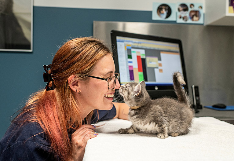 A vet smiles at a kitten on a table.