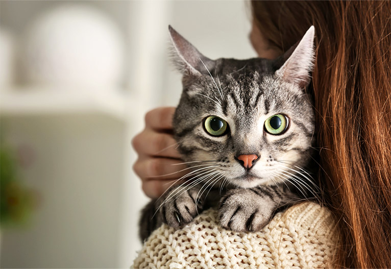 A woman holding a cat over her shoulder.
