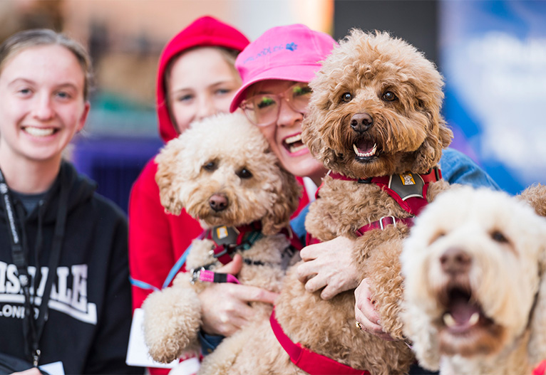 Woman with two dogs at the Dog Lovers Festival.