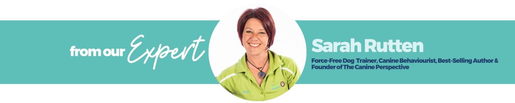 Expert banner for Sarah Rutten.