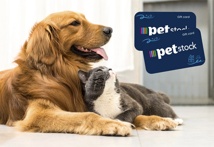 Earn A $200 Petstock Gift Card To Spend On Anything!