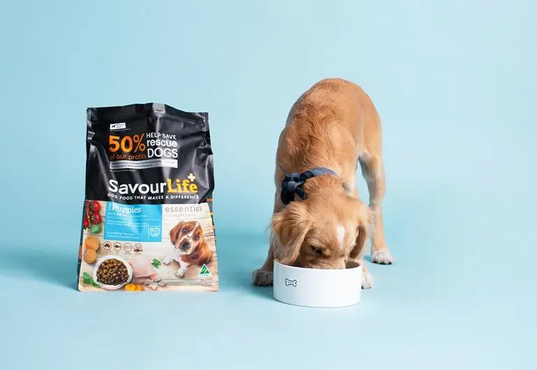 Puppy eating Savour Life dog food.