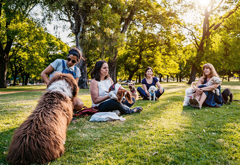 People gathered at a dog park.