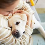 Woman hugging her pet dog.