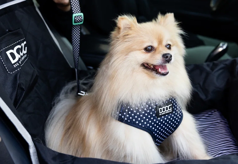 DOOG dog harness and car travel seat.
