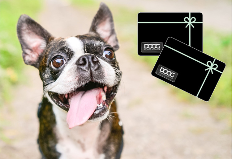 Earn A $150 DOOG Gift Card To Splurge On Your Pup
