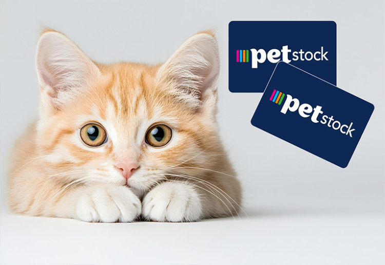 Earn A $150 Petstock Gift Card To Spend On Anything!